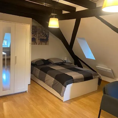 Cozy Hideaway By Cathedral * Strasburgo